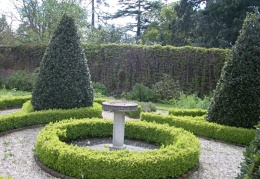 Buxus hedging in the walled garden