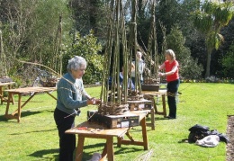 Willow weaving