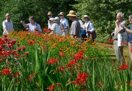 Friends of Caversham Court Visit - display this album Friends of Caversham Court Visit