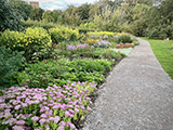 longborder160x120