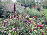 Red Border