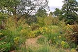 gravel garden