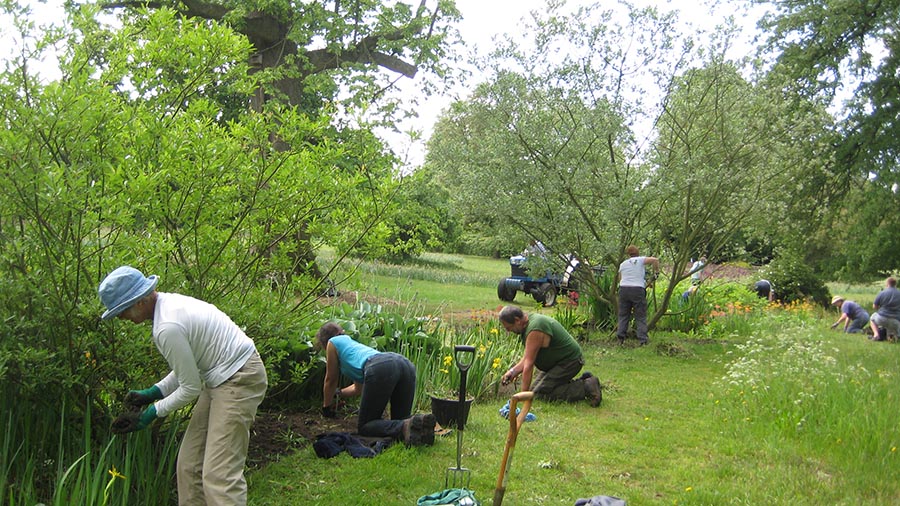 volunteers weeding the flower stream area