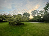 wintergarden160x120