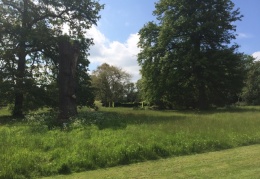 May 2016