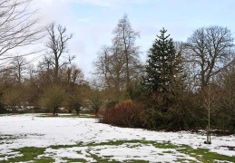 Snow
