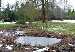 Frozen stream