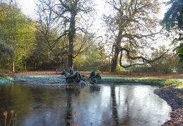 Pond glacé