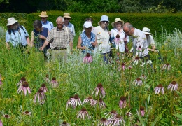 Friends of Caversham Court Visit