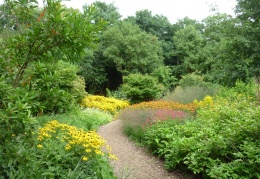 Autumn border in August