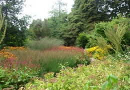 Autumn border in August