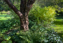 Winter Border