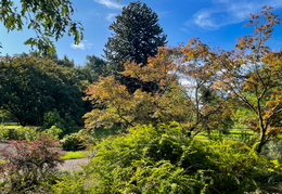 Autumn