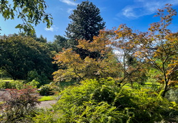 Autumn Border