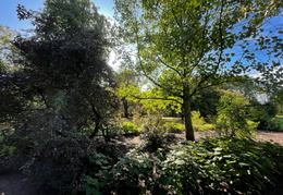 Near the Autumn Border