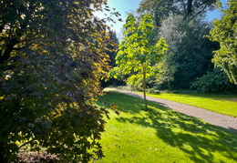 Near the Golden Border