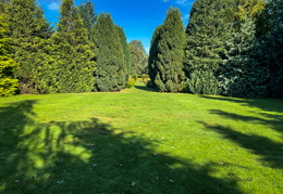 Conifer Circle