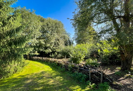 Dead Hedge and Eco Zone