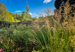 Miller Border