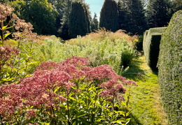 Miller Border
