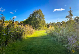 Prairie Garden