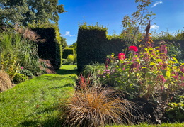 Red Border