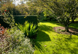 Red Border and Golden Border