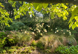 Red Border