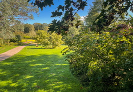 From Woodland Border