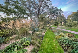 Dry Garden and Eucalyptus