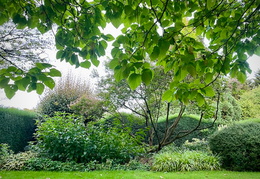 Golden Border