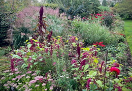 Red Border