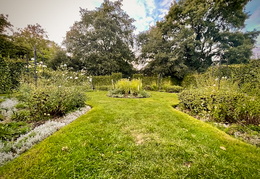 White Garden