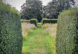 Yew hedging and Prairie Garden