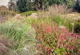 Miller Garden