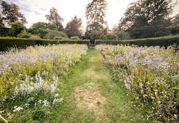 Prairie Garden