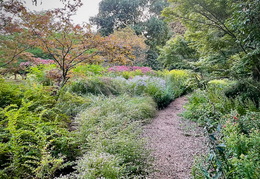 Autumn border