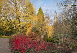 All Seasons Border