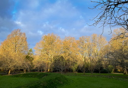 Winter Sun